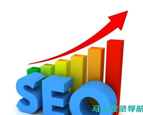 SEO实战手册：谷歌搜索引擎优化实战案例与快速排名技巧分享