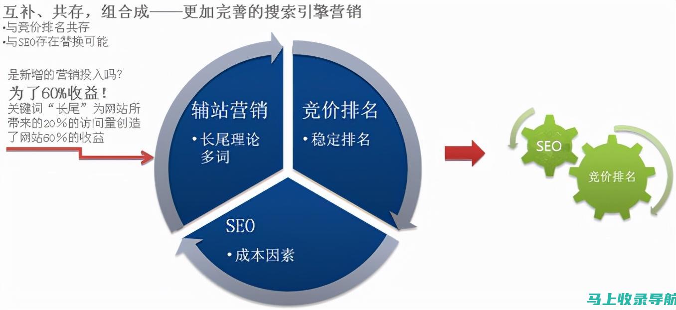 玩转SEO综合查询：提高网站排名的秘密武器与实用技巧